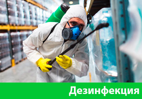 Дезинфекция в городе Орехово-Зуево