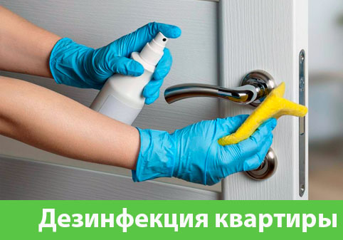 Дезинфекция квартиры в городе Орехово-Зуево