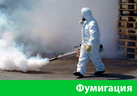 Фумигация в городе Орехово-Зуево