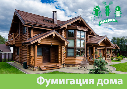 Преимущества обработки газом в городе Орехово-Зуево