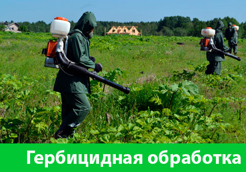 Гербицидная обработка в городе Орехово-Зуево