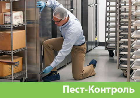 Пэст-Контроль в городе Орехово-Зуево