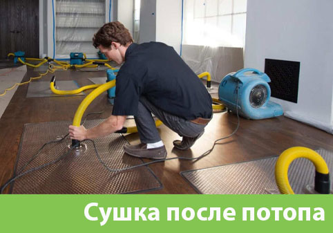 Сушка после потопа в городе Орехово-Зуево