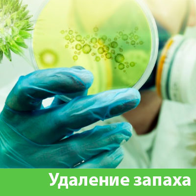 Удаление запахов в Орехово-Зуево