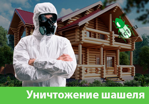 Уничтожение шашеля и личинок в Орехово-Зуево