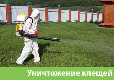 Уничтожение клещей в городе Орехово-Зуево