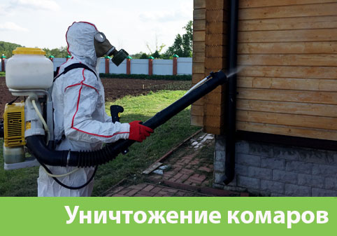 Уничтожение комаров в городе Орехово-Зуево
